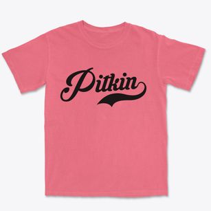 Pitkin Louisiana Vintage Team Premium Heavyweight T-shirt