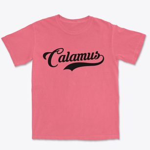 Calamus Iowa Vintage Team Premium Heavyweight T-shirt