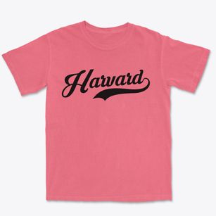Harvard Illinois Vintage Team Premium Heavyweight T-shirt