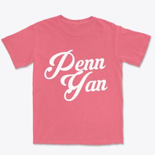Penn Yan New York Vintage Team Premium Heavyweight T-shirt