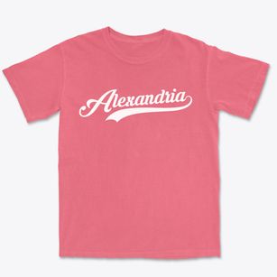 Alexandria Louisiana Vintage Team Premium Heavyweight T-shirt