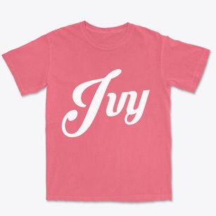 Ivy Virginia Vintage Team Premium Heavyweight T-shirt