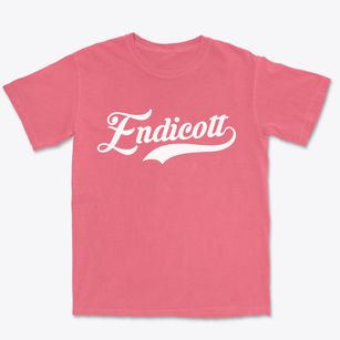 Endicott Washington Vintage Team Premium Heavyweight T-shirt