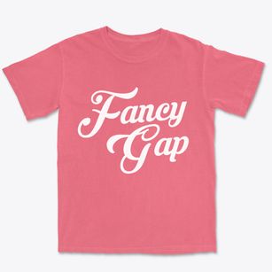 Fancy Gap Virginia Vintage Team Premium Heavyweight T-shirt