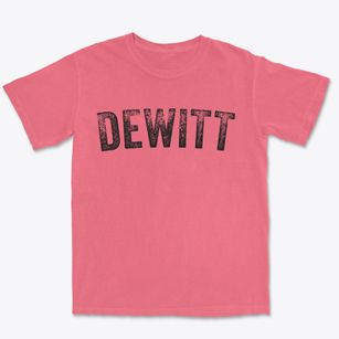 Dewitt Iowa Timeless Retro Premium Heavyweight T-shirt