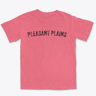 Pleasant Plains New Jersey Timeless Retro Premium Heavyweight T-shirt