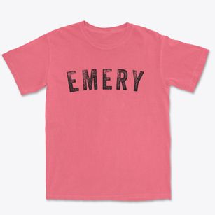 Emery South Dakota Timeless Retro Premium Heavyweight T-shirt