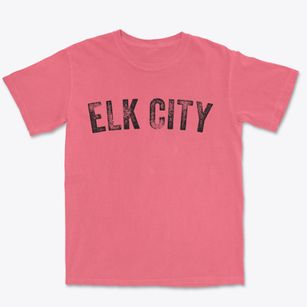 Elk City Idaho Timeless Retro Premium Heavyweight T-shirt