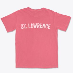 St. Lawrence Pennsylvania Timeless Retro Premium Heavyweight T-shirt