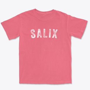 Salix Pennsylvania Timeless Retro Premium Heavyweight T-shirt