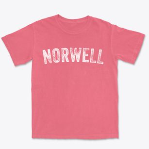 Norwell Massachusetts Timeless Retro Premium Heavyweight T-shirt