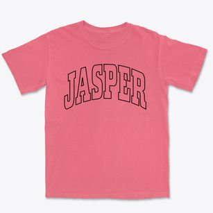 Jasper Michigan Trendy Block Premium Heavyweight T-shirt