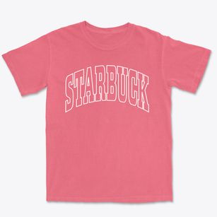 Starbuck Minnesota Trendy Block Premium Heavyweight T-shirt