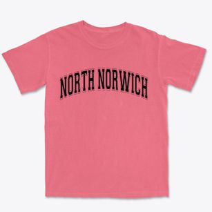 North Norwich New York Varsity Premium Heavyweight T-shirt