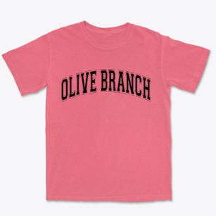 Olive Branch Illinois Varsity Premium Heavyweight T-shirt