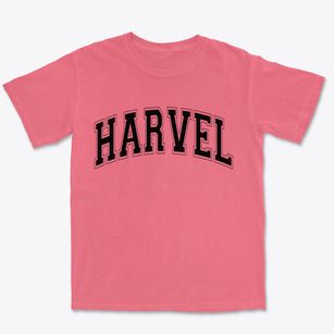 Harvel Illinois Varsity Premium Heavyweight T-shirt