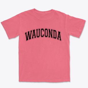 Wauconda Illinois Varsity Premium Heavyweight T-shirt