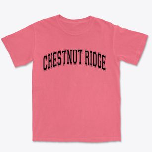 Chestnut Ridge New York Varsity Premium Heavyweight T-shirt