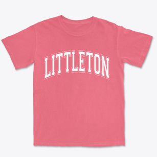 Littleton North Carolina Varsity Premium Heavyweight T-shirt