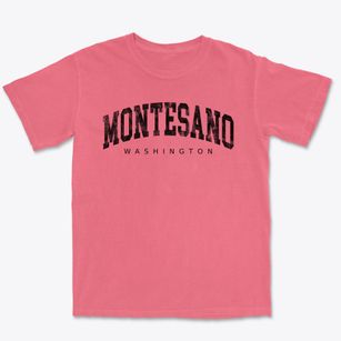 Montesano Washington Urban Vibe Premium Heavyweight T-shirt