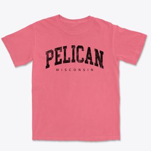 Pelican Wisconsin Urban Vibe Premium Heavyweight T-shirt