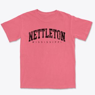 Nettleton Mississippi Urban Vibe Premium Heavyweight T-shirt