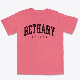 Bethany Oregon Urban Vibe Premium Heavyweight T-shirt