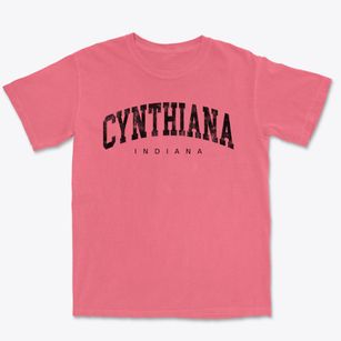 Cynthiana Indiana Urban Vibe Premium Heavyweight T-shirt