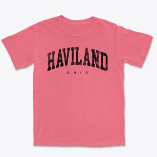 Haviland Ohio Urban Vibe Premium Heavyweight T-shirt
