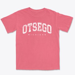 Otsego Michigan Urban Vibe Premium Heavyweight T-shirt