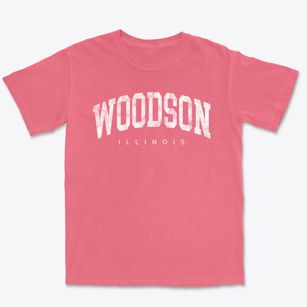 Woodson Illinois Urban Vibe Premium Heavyweight T-shirt