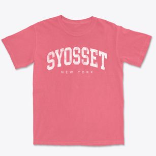 Syosset New York Urban Vibe Premium Heavyweight T-shirt