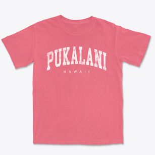Pukalani Hawaii Urban Vibe Premium Heavyweight T-shirt