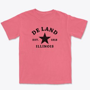 De Land Illinois Star Premium Heavyweight T-shirt