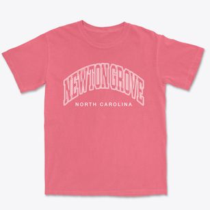Newton Grove North Carolina Inline Premium Heavyweight T-shirt