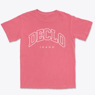 Declo Idaho Inline Premium Heavyweight T-shirt