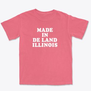 De Land Illinois Classic 70s Premium Heavyweight T-shirt