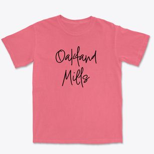Oakland Mills Pennsylvania Freestyle Premium Heavyweight T-shirt