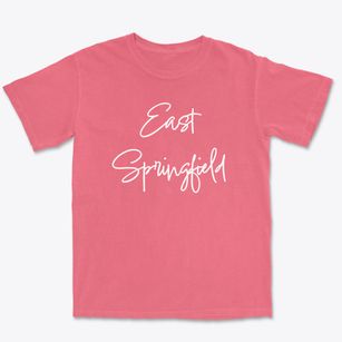 East Springfield New York Freestyle Premium Heavyweight T-shirt