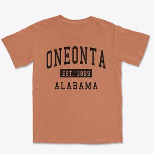Oneonta Alabama Classic Established Premium Heavyweight T-shirt