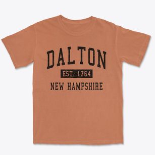 Dalton New Hampshire Classic Established Premium Heavyweight T-shirt