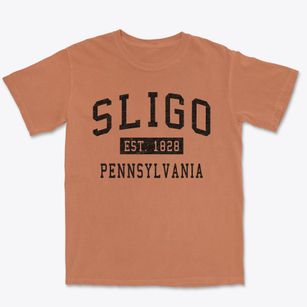 Sligo Pennsylvania Classic Established Premium Heavyweight T-shirt