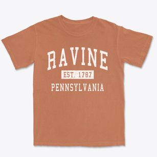Ravine Pennsylvania Classic Established Premium Heavyweight T-shirt
