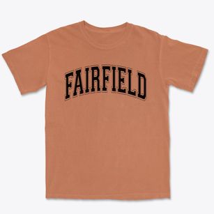 Fairfield Center Elementary School Varsity Arch Premium Heavyweight T-shirt
