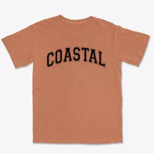 Coastal Christian Academy Varsity Arch Premium Heavyweight T-shirt