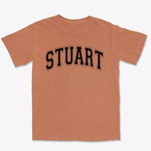 Stuart Elementary School Varsity Arch Premium Heavyweight T-shirt