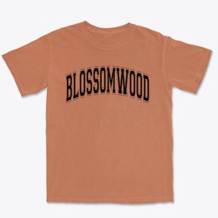 Blossomwood Elementary School Varsity Arch Premium Heavyweight T-shirt