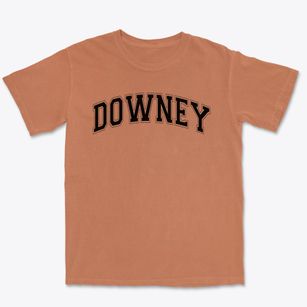 Downey Children's Center Varsity Arch Premium Heavyweight T-shirt