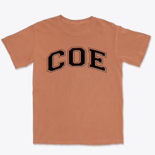 Coe Elementary School Varsity Arch Premium Heavyweight T-shirt