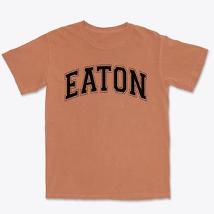 Eaton Elementary School Varsity Arch Premium Heavyweight T-shirt